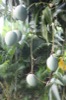 resIMG_20160613_195216_6047.JPG